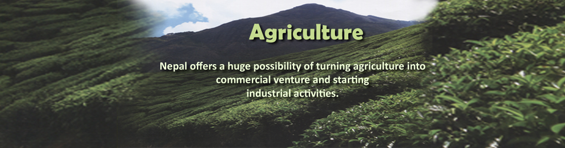 Agriculture Potential in Nepal